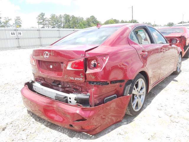 2010 LEXUS IS 250 JTHBF5C20A5124709