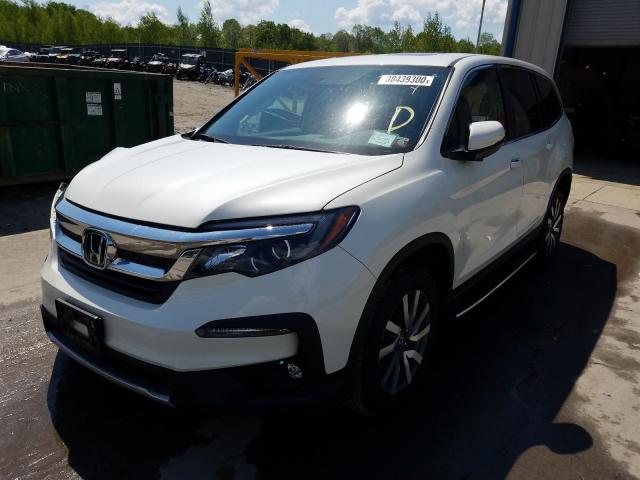 2019 HONDA PILOT EXL 5FNYF6H59KB056611