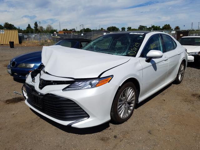 toyota camry 2019 vin 4t1b11hk1ku813064