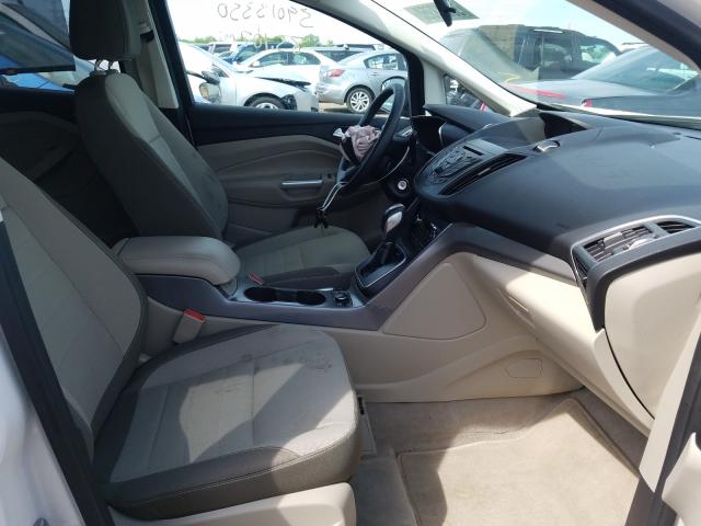 2013 FORD C-MAX SE 1FADP5AU0DL505350