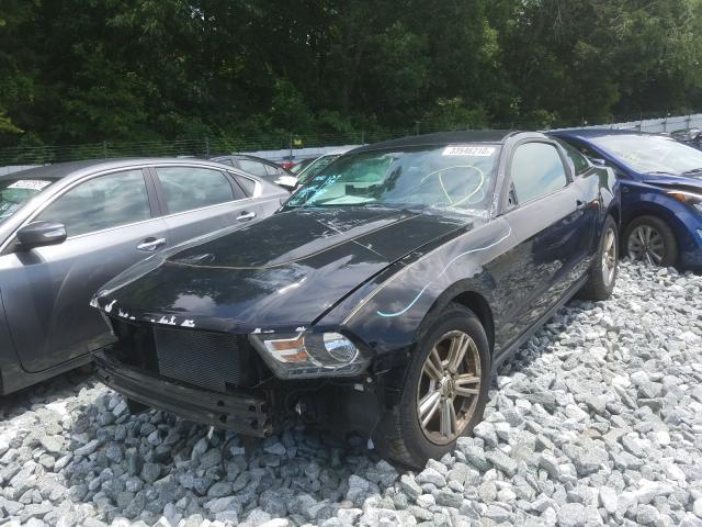 2012 FORD MUSTANG 1ZVBP8AM8C5211407