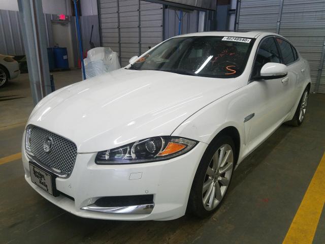 Jaguar XF 2014 белый перламутр