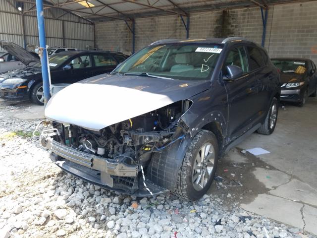 VIN 5J6TF1H55DL003167 2013 Honda Crosstour, Ex-L V6 no.2