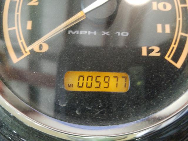 2009 HARLEY-DAVIDSON FLSTSB 1HD1JM5189Y015286