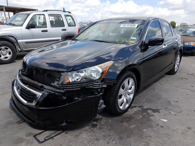 VIN 3N1AB8CV2NY298894 2009 HONDA ACCORD EXL no.2