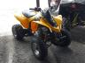 CAN-AM DS 250 2000