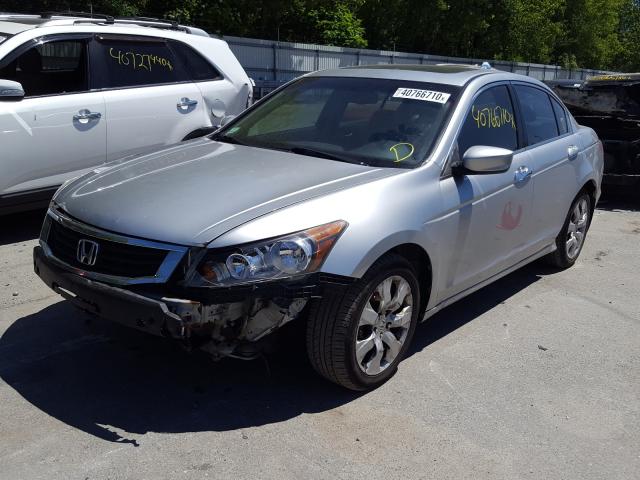 VIN 3KPFT4DE4SE008384 2008 HONDA ACCORD EXL no.2