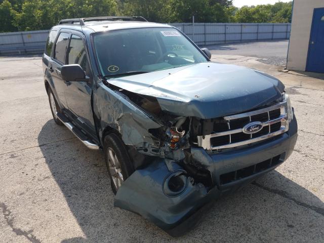 2010 FORD ESCAPE XLT