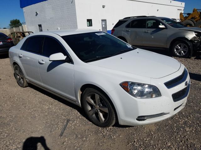 2011 CHEVROLET MALIBU 1LT