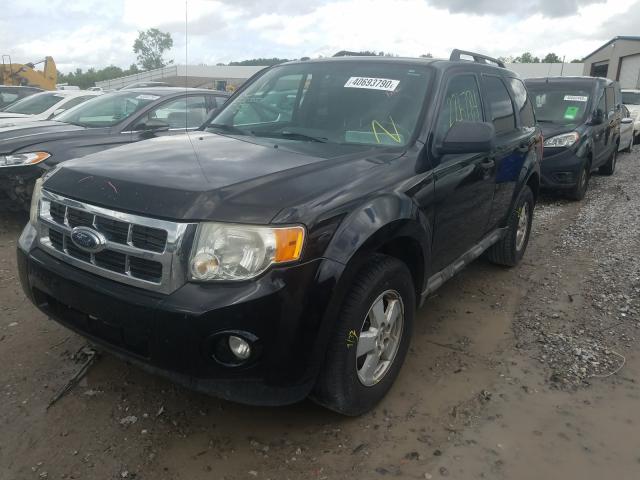 VIN JTDEPMAE6MJ174559 2009 FORD ESCAPE XLT no.2