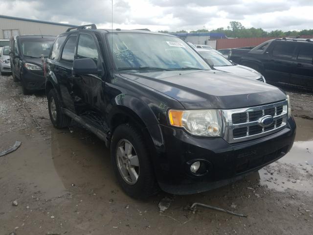 2009 FORD ESCAPE XLT