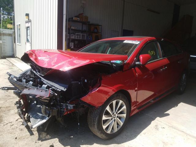 2017 HYUNDAI SONATA SPO 5NPE34AF0HH547923
