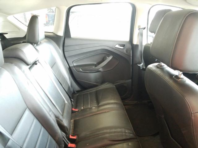 2013 FORD C-MAX SEL 1FADP5BU9DL538166