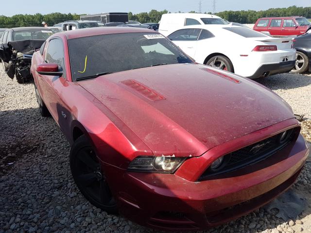 Lot #2471257871 2014 FORD MUSTANG GT salvage car