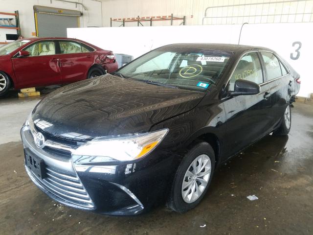 2016 TOYOTA CAMRY LE 4T4BF1FK1GR562709