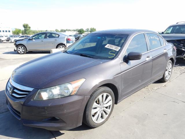 2011 HONDA ACCORD EXL 1HGCP3F81BA003849