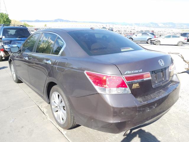 2011 HONDA ACCORD EXL 1HGCP3F81BA003849