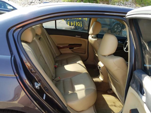 2011 HONDA ACCORD EXL 1HGCP3F81BA003849