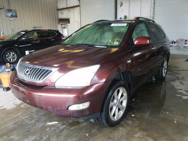 lexus rx 2009 vin jtjgk31u699852841