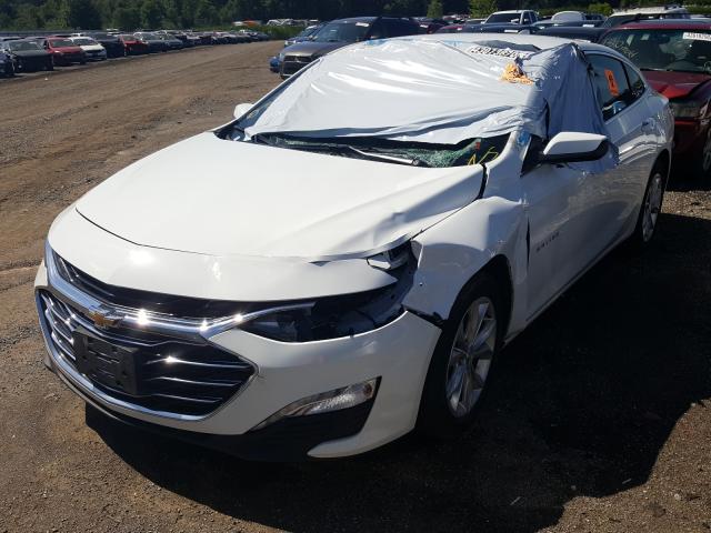 2019 CHEVROLET MALIBU LT 1G1ZD5ST9KF177851