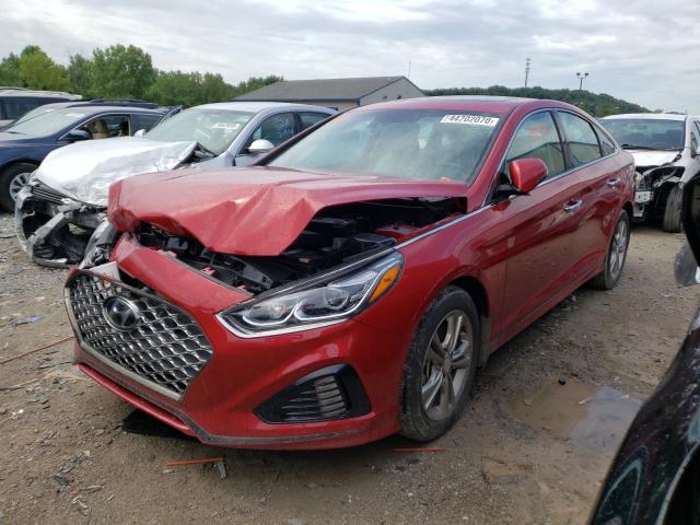 2019 HYUNDAI SONATA LIM 5NPE34AF8KH805449