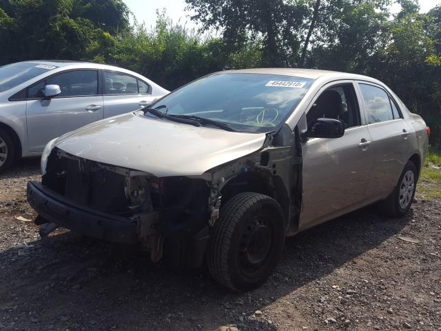 2010 TOYOTA COROLLA BA 2T1BU4EE2AC329783