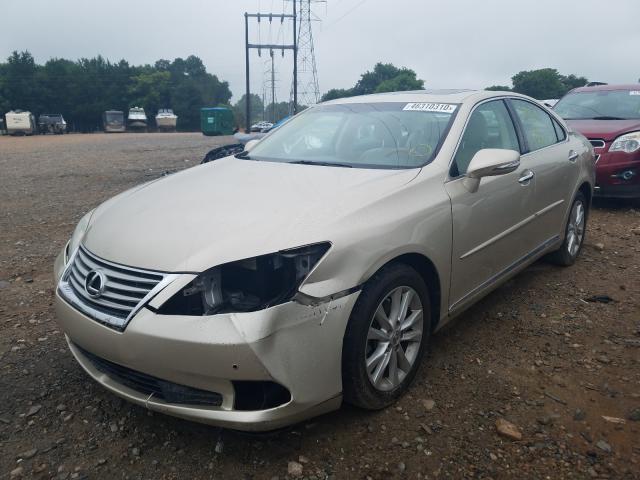 2011 LEXUS ES 350 JTHBK1EG7B2445498