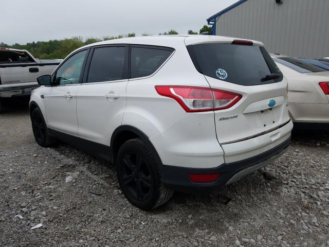 2014 FORD ESCAPE 1FMCU0GX7EUA59806
