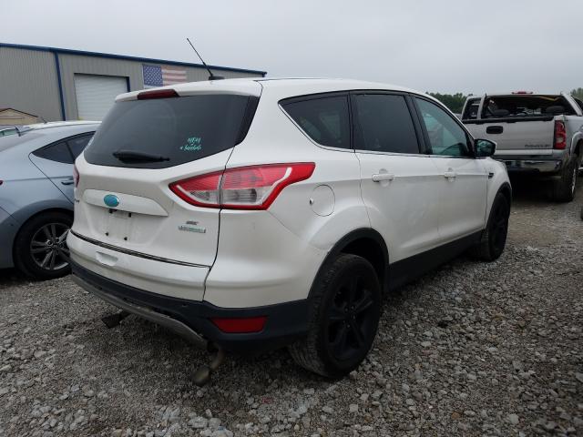 2014 FORD ESCAPE 1FMCU0GX7EUA59806