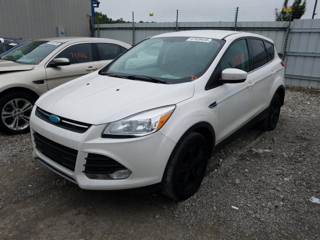 2014 FORD ESCAPE 1FMCU0GX7EUA59806