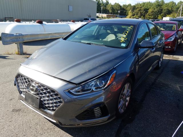 2019 HYUNDAI SONATA LIM 5NPE34AF5KH766013