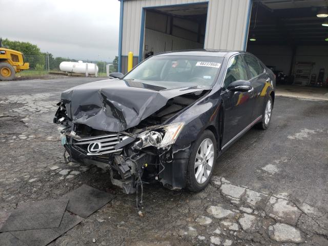 2010 LEXUS ES 350 JTHBK1EG5A2381556