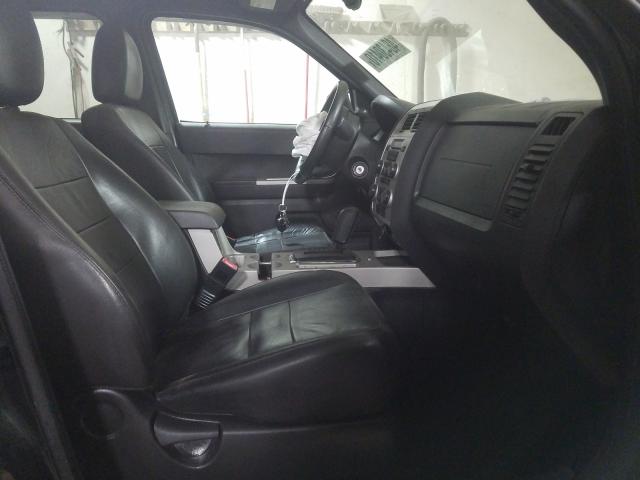 2011 FORD ESCAPE XLT 1FMCU0D79BKC55547