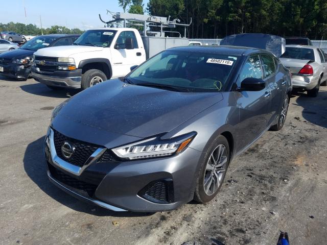 2019 NISSAN MAXIMA 1N4AA6AV2KC374499