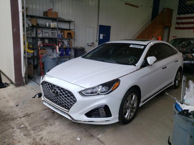 2019 HYUNDAI SONATA LIM 5NPE34AF7KH799501
