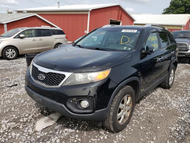 2011 KIA SORENTO BA 5XYKTCA19BG067704