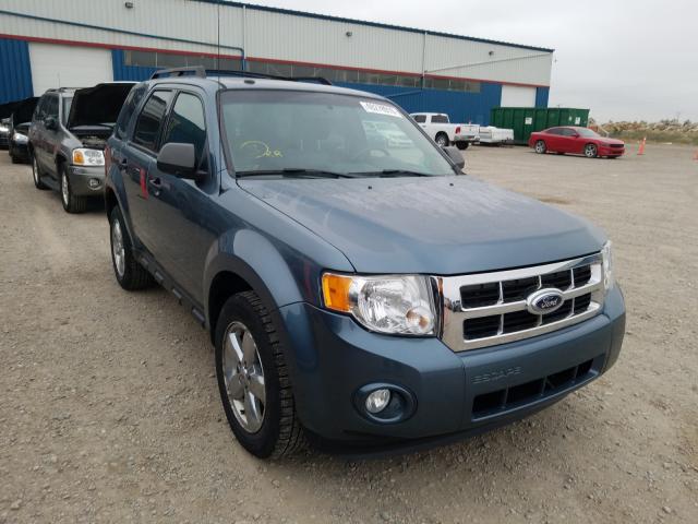 Ford Escape Blue 2010