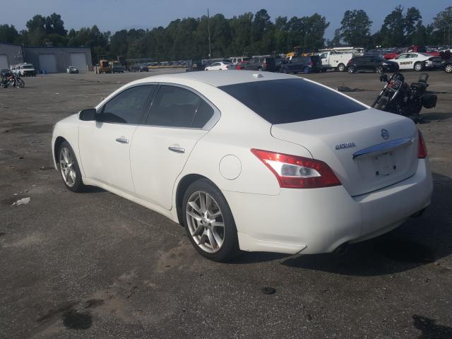 2011 NISSAN MAXIMA 1N4AA5AP1BC854982