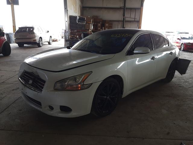 2011 NISSAN MAXIMA 1N4AA5AP1BC813977