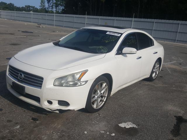 2011 NISSAN MAXIMA 1N4AA5AP1BC854982