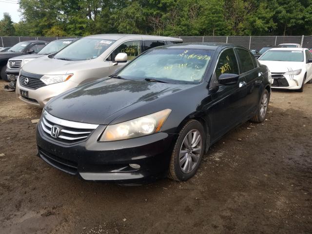 2011 HONDA ACCORD EXL 1HGCP3F87BA014449
