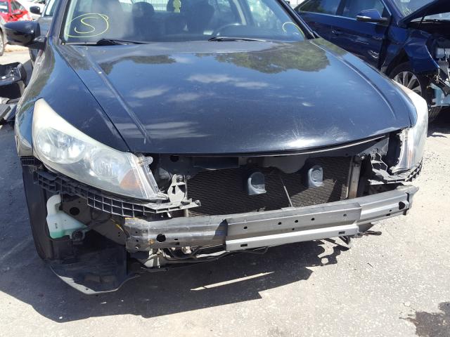 2010 HONDA ACCORD EXL 1HGCP2F8XAA053593