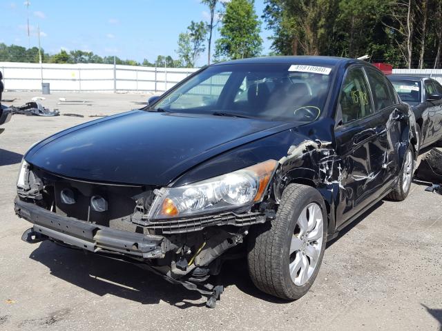 2010 HONDA ACCORD EXL 1HGCP2F8XAA053593