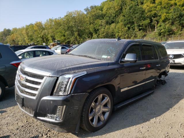 2019 CADILLAC ESCALADE P 1GYS4CKJ4KR337199