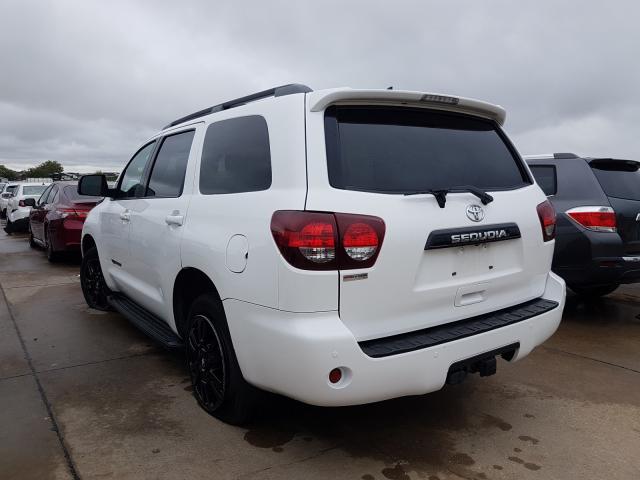 2019 TOYOTA SEQUOIA SR 5TDZY5G13KS073195
