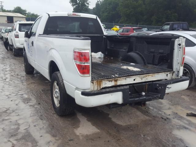 2010 FORD F-150 1FTMF1CWXAKB84164
