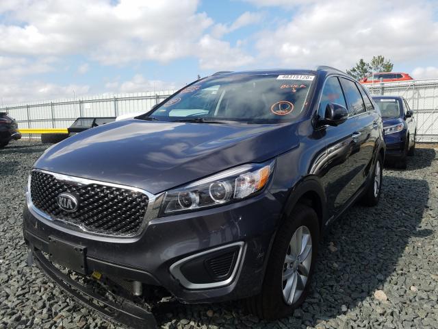 2016 KIA SORENTO LX 5XYPGDA5XGG176764