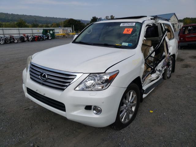 JTJHY00W384000558 2008 LEXUS LX 570-1