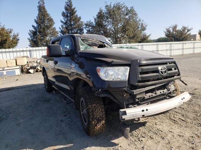 2010 TOYOTA TUNDRA CRE - 5TFDY5F17AX113394