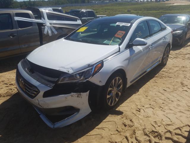 2017 HYUNDAI SONATA SPO 5NPE34ABXHH493883
